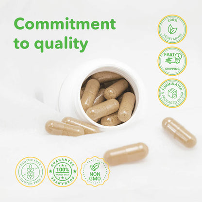 Lymphatic Formula - VitasupportMD Natural Supplement